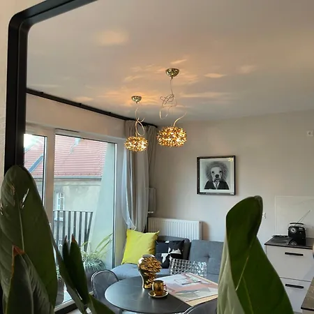 Piper Gold Targi Πόζναν