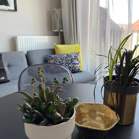 Διαμέρισμα Piper Gold Targi *