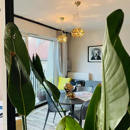 Piper Gold Targi Appartamento Poznań